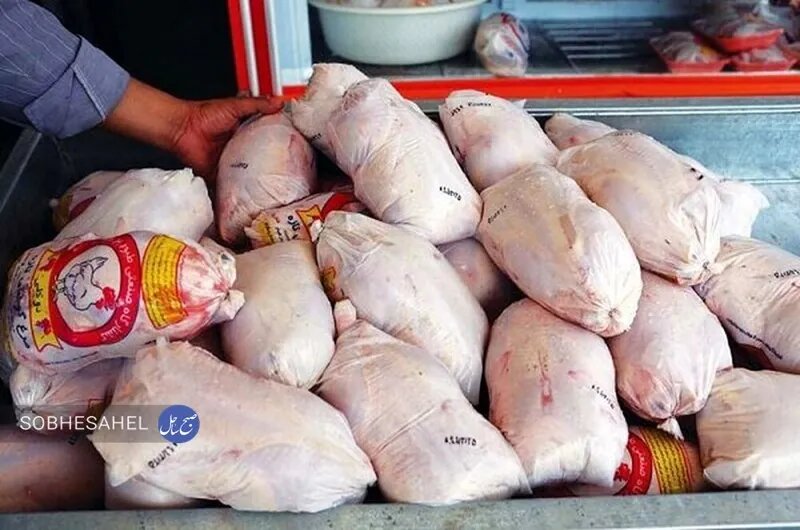 توزیع بیش از ۴ هزار و ۲۰۰ تن گوشت مرغ در هرمزگان