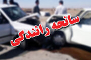 تصادف مرگبار دو سواری پژو/ آمار جان باختگان و مصدومان