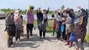 ببینید | خط و نشان کشاورزان مازندرانی برای ترامپ