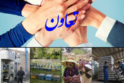 صادرات ۳۸ هزار دلاری و اشتغال پایدار تعاونی‌های زنجان در سال گذشته