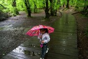۱۴ استان کشور بارانی می‌شود
