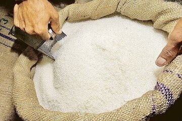 آغاز توزیع شکر با نرخ جدید/ پایان کمبودهای مقطعی در بازار آغاز توزیع شکر با نرخ جدید/ پایان کمبودهای مقطعی در بازار