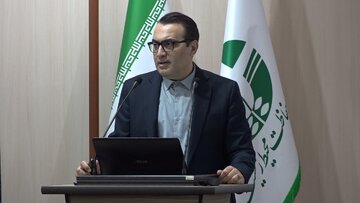 هشدار محیط زیست مازندران درباره تلفات فوک خزری