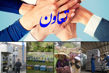 صادرات ۳۸ هزار دلاری و اشتغال پایدار تعاونی‌های زنجان در سال گذشته