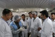 احیای کشتارگاه لارستان با اشتغالزایی ۴۰۰نفر