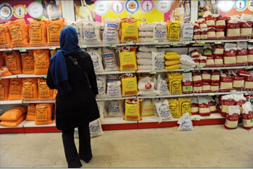 طرح جدید دولت درباره امکان خرید اعتباری کالاهای اساسی با یارانه چیست؟/ مبلغ یارانه نقدی افزایش یابد/ جزئیات استفاده از یارانه به عنوان ضمانت