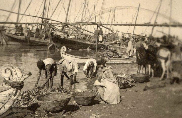 از سندباد تا جنگ‌های مدرن؛ سفری حیرت‌انگیز در تاریخ خلیج‌فارس