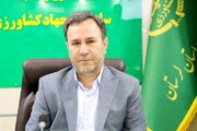 آغاز پرداخت ۱۵۷۰ میلیارد ریال تسهیلات بانکی به دامداران روستایی و عشایری لرستان