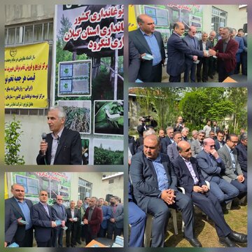 رئیس مرکز توسعه نوغانداری کشور اعلام کرد:افزایش ۸۰ درصدی قیمت خرید تضمینی هر کیلوگرم پیله‌تر ابریشم