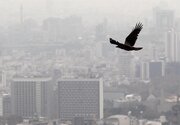 متوسط قیمت مسکن تهران اعلام شد/ خریداران از بازار فرار کردند