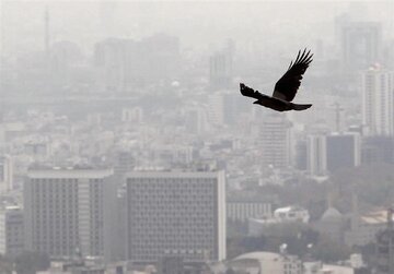 متوسط قیمت مسکن تهران اعلام شد/ خریداران از بازار فرار کردند متوسط قیمت مسکن تهران اعلام شد/ خریداران از بازار فرار کردند