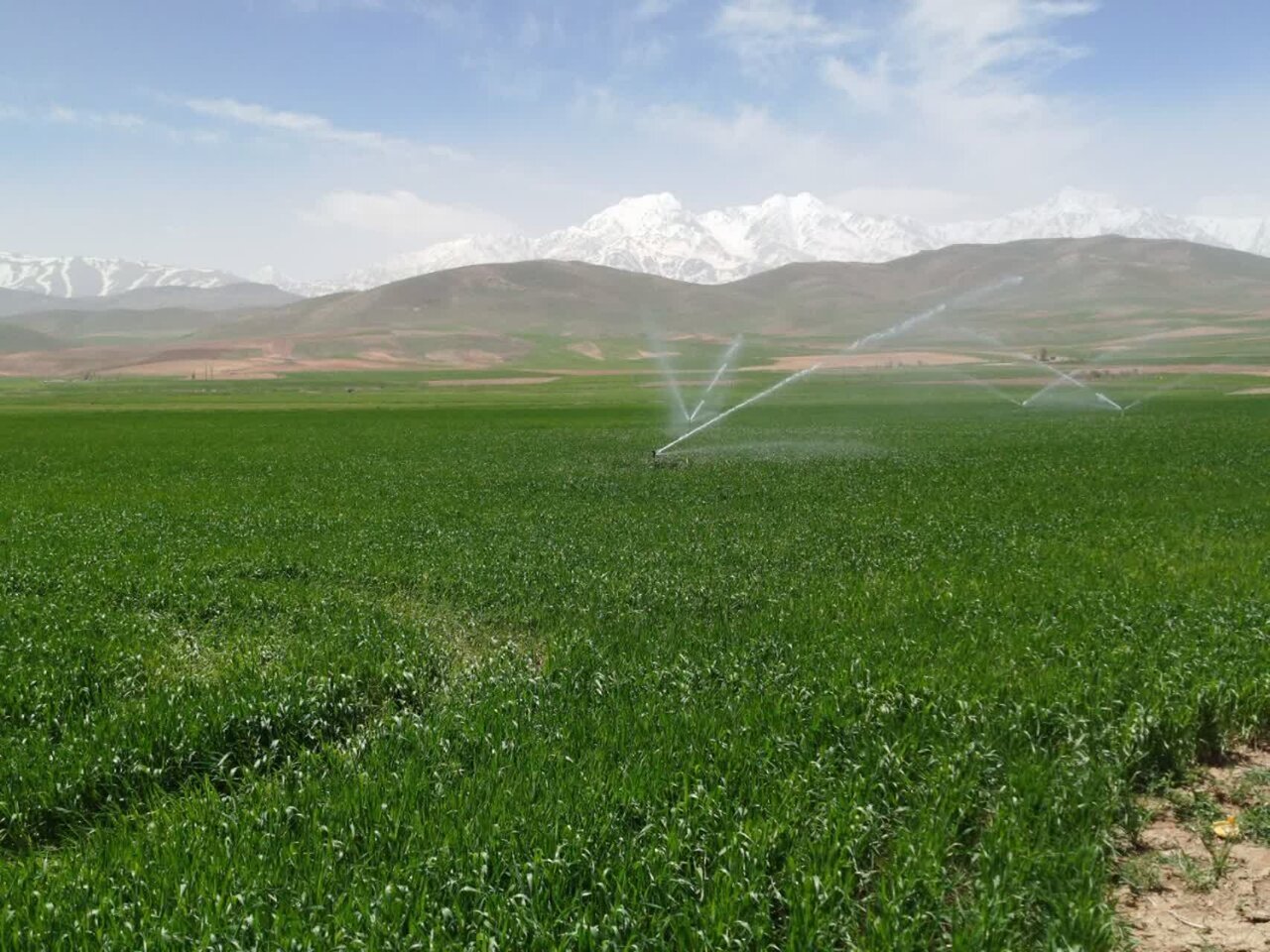 تکمیل پروژه آبیاری تحت فشار روستای کندرچه الیگودرز گامی در جهت اشتغالزایی و توسعه پایدار