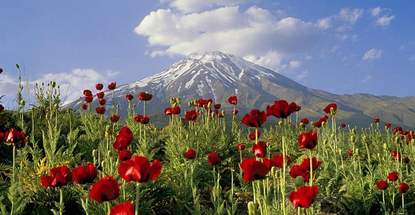 از گلاب‌گیری تا پرسه زدن در دشت‌های بهاری؛ اردیبهشت کجا برویم؟/ ۹ مقصد جذاب برای سفر یک‌روزه/ راهنمای سفرهای بهاری نزدیک تهران