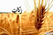 ایجاد تعادل اجتماعی یکی از اهداف وجوب زکات است