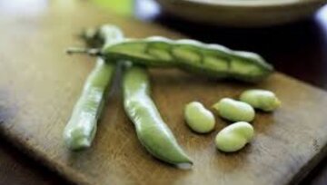 فواید بی‌نظیر باقلا