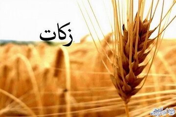 ایجاد تعادل اجتماعی یکی از اهداف وجوب زکات است ایجاد تعادل اجتماعی یکی از اهداف وجوب زکات است