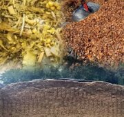 طرح نوین خوراک دام فارس اجرا می‌شود    