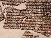 ما کتابدار داشتیم وقتی شما نبودید!