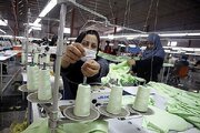 آغاز ارزیابی برای تعیین تعاونی‌های برتر استان البرز