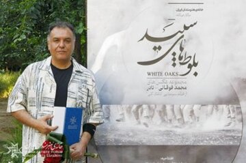 «بلوط‌های سپید»؛ روایتی مینیمال و ضد نور از انسان‌هایی که در جنگ عاشقانه زندگی کردند