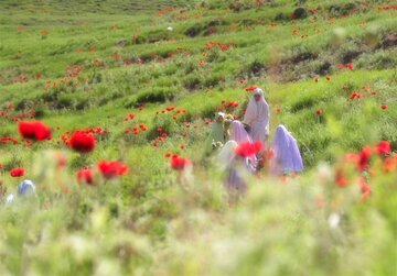 الگوی دینیِ حضور زن در جامعه؛ نه انزوا، نه بیمرزی الگوی دینیِ حضور زن در جامعه؛ نه انزوا، نه بیمرزی