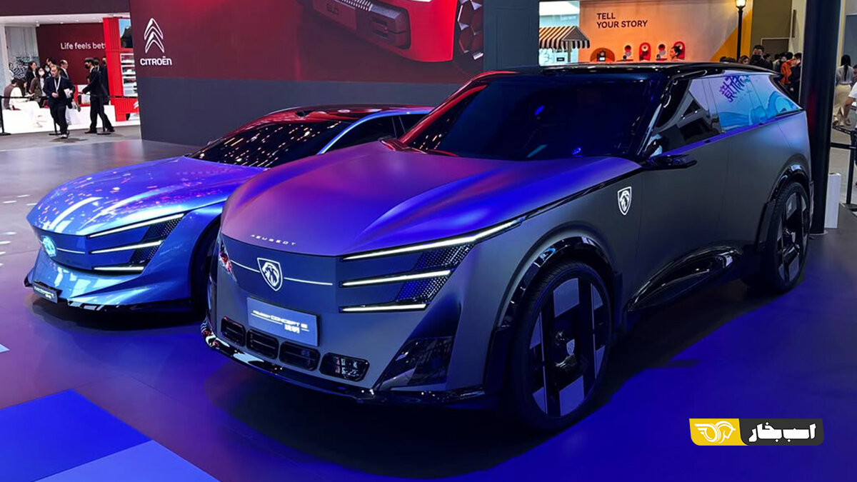 پژو ۸۰۰۸، آزمون سرنوشتساز شیر فرانسوی / عکس