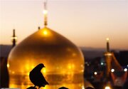 فرصتی برای تجدید پیوند با امام مهربانی