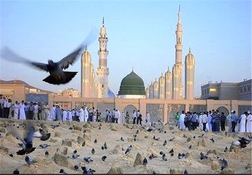 ببینید| سلام عاشقانه زائران حج به پیامبر رحمت در مدینه ببینید| سلام عاشقانه زائران حج به پیامبر رحمت در مدینه