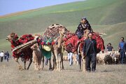 از «علف» تا یونسکو؛ این کوچ جهانی می‌شود
