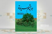 مهمترین رویدادهای دوران امام سجاد(ع) را در «جز چشم سیاه تو» بخوانید