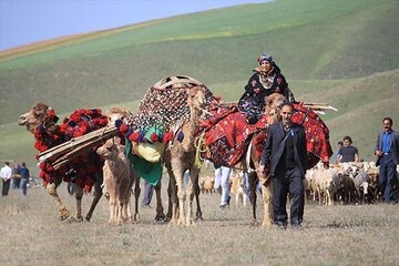 از «علف» تا یونسکو؛ این کوچ جهانی می‌شود