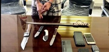عامل ایجاد رعب و وحشت در مهرگان دستگیر شد