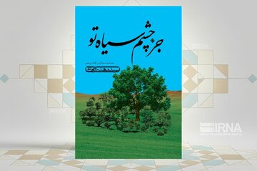 مهمترین رویدادهای دوران امام سجاد(ع) را در «جز چشم سیاه تو» بخوانید مهمترین رویدادهای دوران امام سجاد(ع) را در «جز چشم سیاه تو» بخوانید