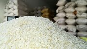 قیمت جدید برنج ایرانی رسما اعلام شد/ رستگار: کمبودی در بازار نمی‌بینیم