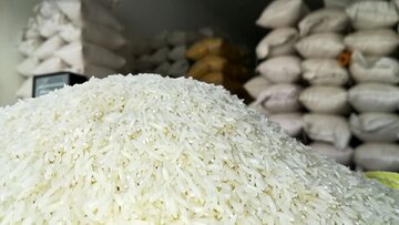 قیمت جدید برنج ایرانی رسما اعلام شد/ رستگار: کمبودی در بازار نمیبینیم قیمت جدید برنج ایرانی رسما اعلام شد/ رستگار: کمبودی در بازار نمیبینیم