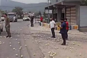 ببینید | تصادف رانندگی هزاران جوجه را در بزرگراهی در عراق پراکنده کرد