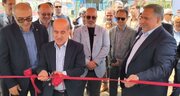 ظرفیت تولید ماهی در خزر، چندین برابر صید سنتی می‌شود