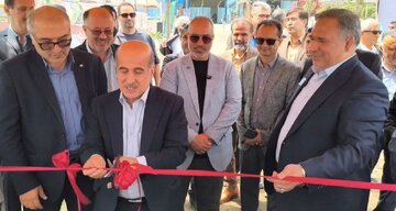 ظرفیت تولید ماهی در خزر، چندین برابر صید سنتی می‌شود