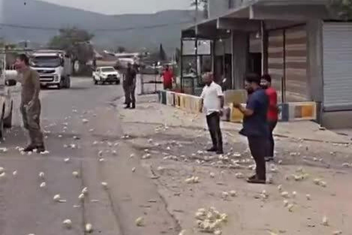 ببینید | تصادف رانندگی هزاران جوجه را در بزرگراهی در عراق پراکنده کرد
