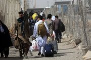 دستگیری ۲۲۳ نفر از اتباع بیگانه غیرمجاز/ ماجرا چیست؟