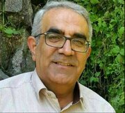 گاهی مرگ پایان کبوتر است
