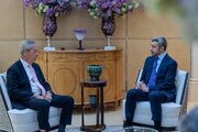 وزیر خارجه امارات با رهبر افراطی راست‌گرای انگلیس در مورد ایران رایزنی کرد