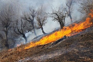 اطفای سه فقره آتش سوزی در اراضی ملی شهرستان کوار اطفای سه فقره آتش سوزی در اراضی ملی شهرستان کوار