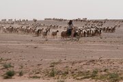 افشا دومین پایگاه نظامی سری اسرائیل در خاک عراق / نیویورک تایمز: آمریکا عامدانه وجود این پایگاه‌ها را پنهان کرده‌بود