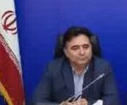 برنامه های صیانت از خرس قهوه ای در کوه سبلان