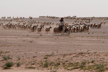 افشا دومین پایگاه نظامی سری اسرائیل در خاک عراق / نیویورک تایمز: آمریکا عامدانه وجود این پایگاه‌ها را پنهان کرده‌بود