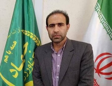 آمار خرید کلزا به ۱۵۰ تن رسید / آغاز واریز مطالبات کلزاکاران از شنبه ۲ خرداد