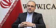 نماینده مجلس از نوسانات قیمت مرغ و تخم مرغ؛ ریشه موضوع داخلی است یا خارجی؟