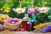 تولید سالانه ۱۰۷۵تن انواع گیاه دارویی در قزوین
