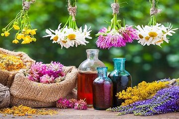 تولید سالانه ۱۰۷۵تن انواع گیاه دارویی در قزوین